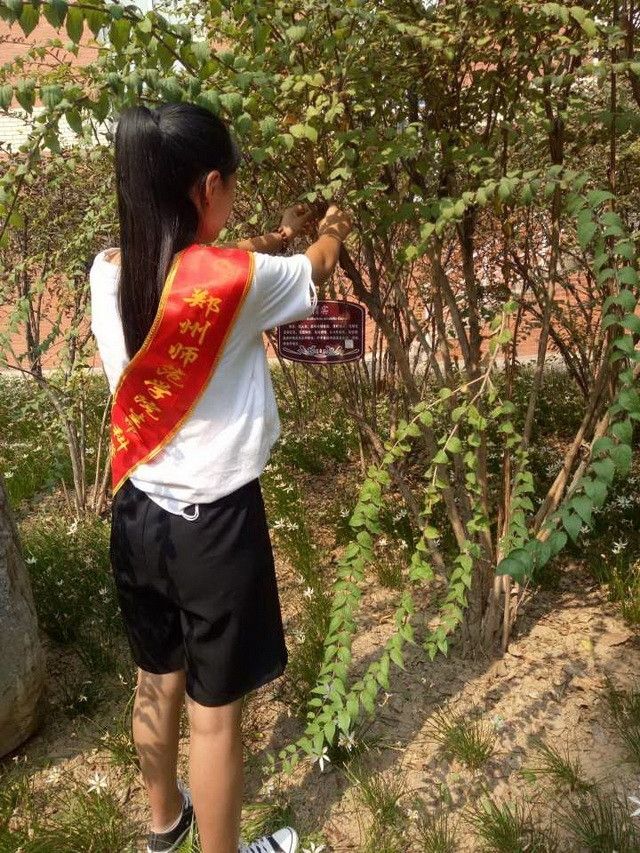 QQ图片20170921112726.jpg