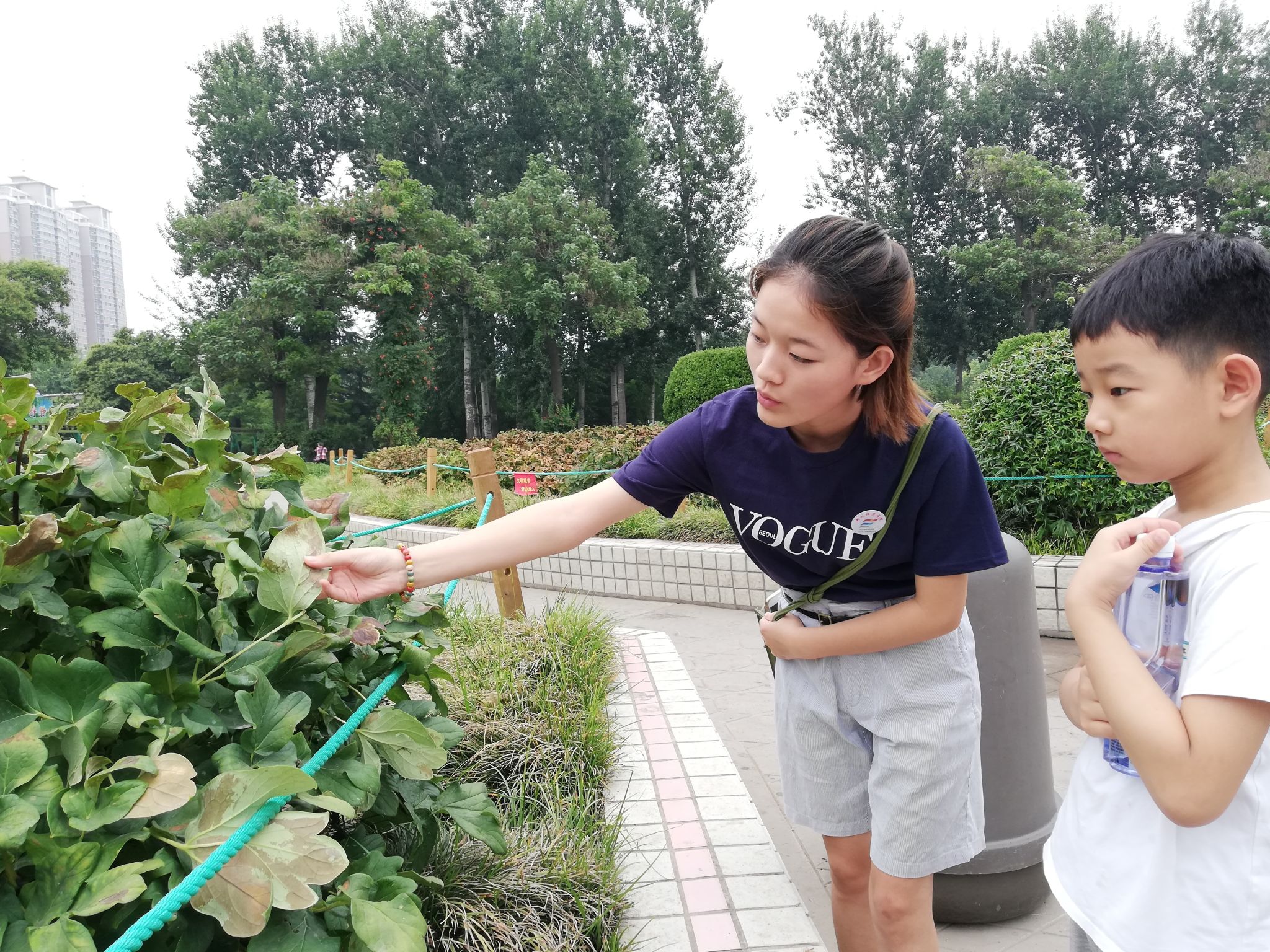 b2a6a6f67603b04a56a53094d2c3a77.jpg b2a6a6f67603b04a56a53094d2c3a77.jpg