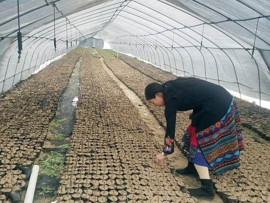 微信图片_20181014091051副本