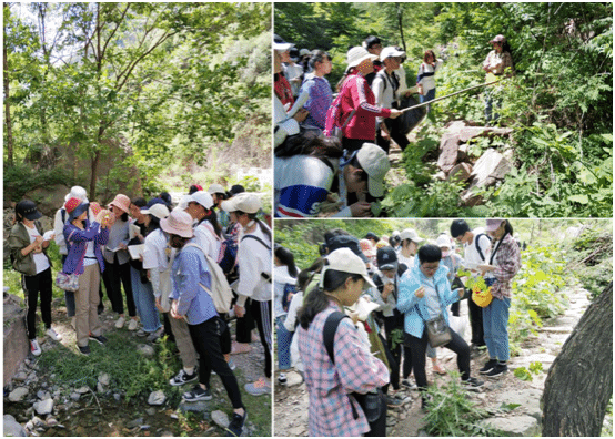 无标题1.png 无标题1.png