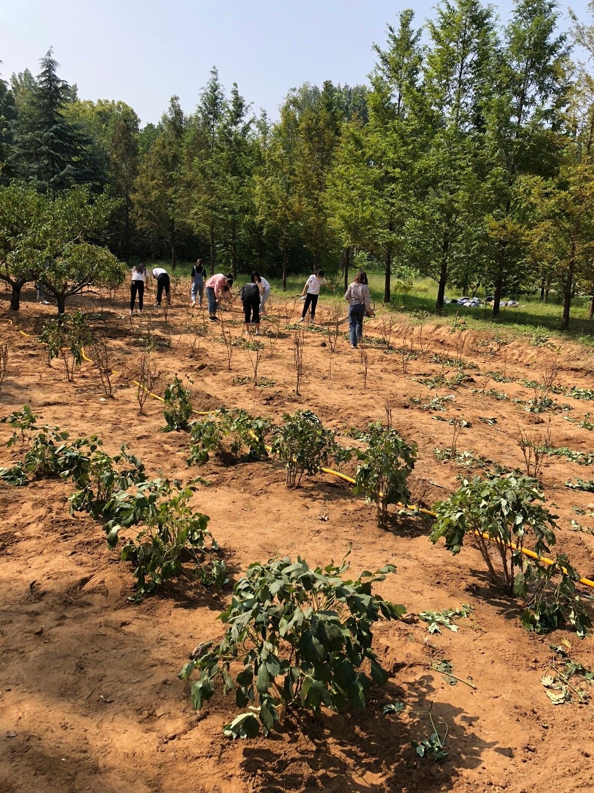 ff88dddc7487ceb8e00769f41677e2d.jpg ff88dddc7487ceb8e00769f41677e2d.jpg