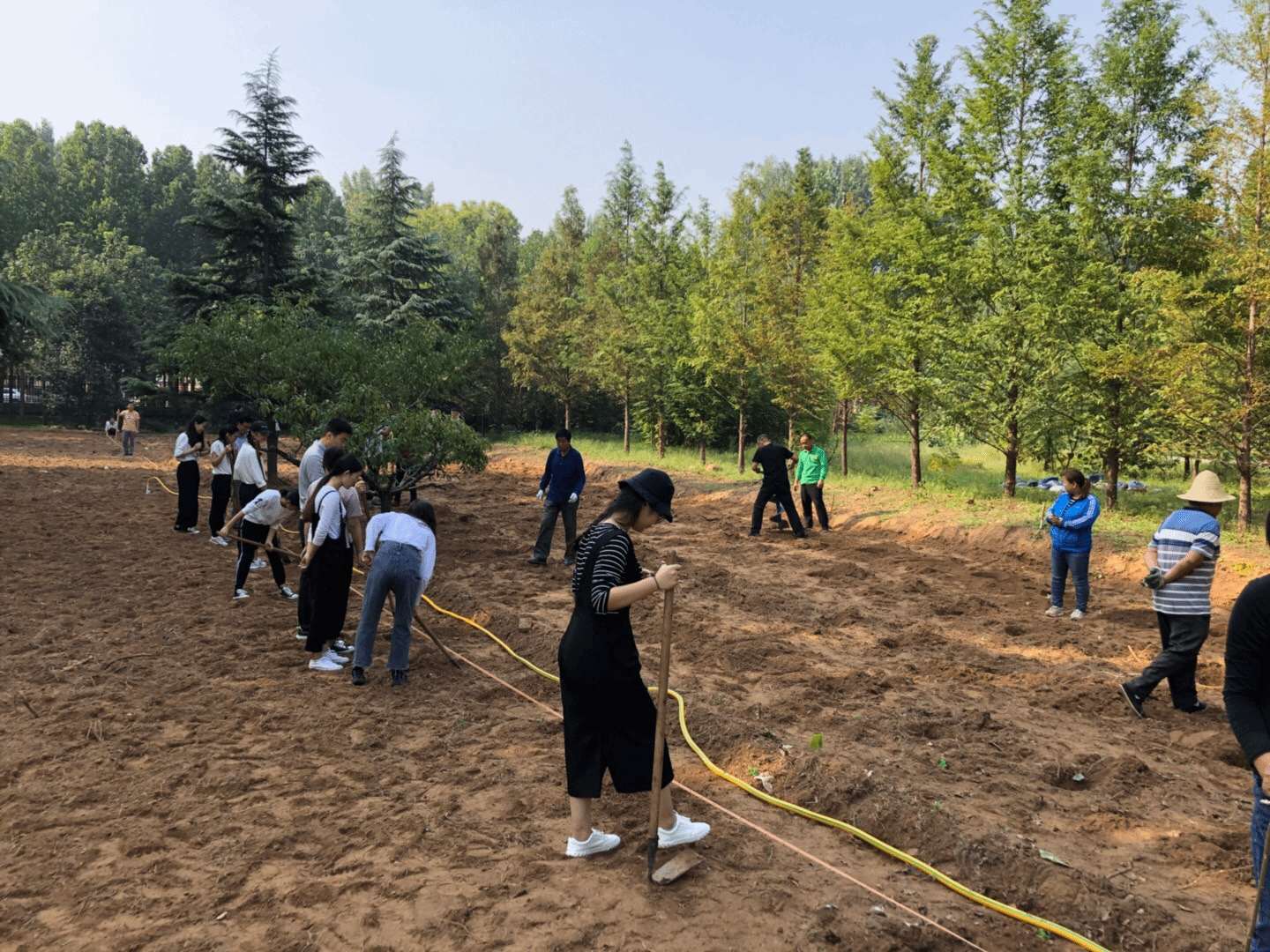 4c3c2aace6c42f4d79114d677dfbd47.png 4c3c2aace6c42f4d79114d677dfbd47.png