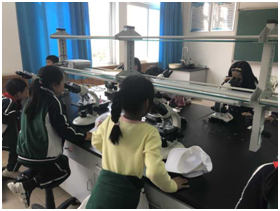 058db8282ddd3c12e4c5bf2ceeccf48.png 058db8282ddd3c12e4c5bf2ceeccf48.png