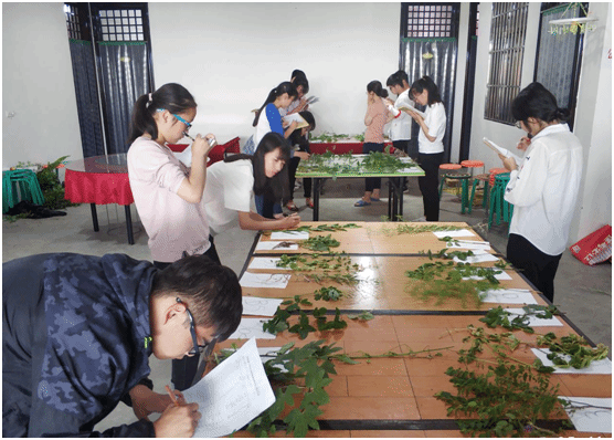 无标题2.png 无标题2.png